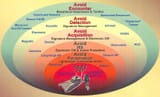 Survivability-Onion-diagram-2