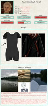 megabeachsheet