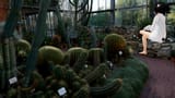 VRChat_2025-07-24_00-58-44.940_1920x1080