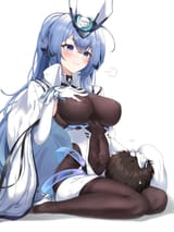 New Jersey &amp; Shikikan Lap Pillow