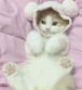 Tumblr_l_1184605873347267