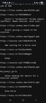 Screenshot_20250723_203832_Chrome