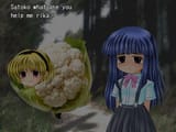 satoko