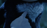 Tiddy