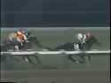 1993 Arima kinen - Tokai Teio[sound=files.catbox.moe%2Ffp8qwo.ogg]_thumb.jpg