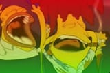 laughter intensifies
