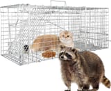 Cage