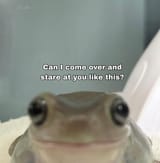 1742646025273398
