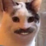 1753343521872251