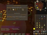 RuneLite_2025-07-24_08-03-04