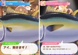 Tuna
