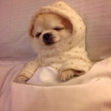 sleeptight