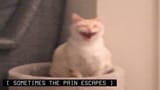 pain escapes