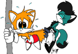 foxtails