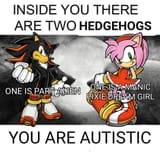 vpjo7ncawtce1.jpeg