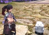 Screenshot 2025-07-24 at 14-34-14 LIVE LETTER DAY! Unofficial Translations by XIV Reddit Discord !plush !steelseries - YouTube