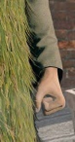 fist