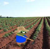 farming