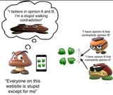 Goomba Fallacy