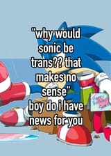 Sonic_Trans_Birthday