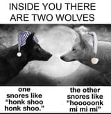 1745533507199088