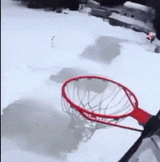 dunking buddies