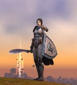 human warrior or paladin