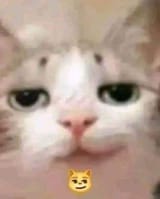 83c5747d5e0fa489411637fa0ae58573