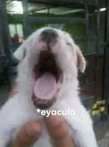GvE77yRWUAAlHXo