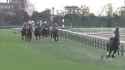 2020 Japan Cup (G1) ｜ JRA Official[sound=files.catbox.moe%2Fuugflw.ogg]_thumb.jpg