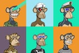 bored ape yacht club