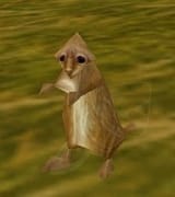 prairiedog