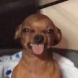 20250325_150910