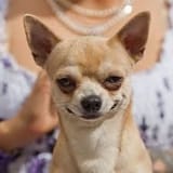 mfw