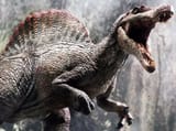 spinosaurus1