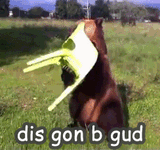 1676754117920
