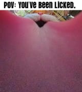 licked