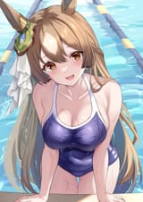 Dia Swimsuit