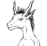 dragonsis