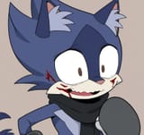 shocked cat