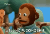 shook-muppet