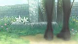 Screenshot (5457)