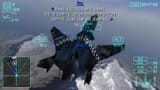 shark test
