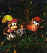 Dkc2vine