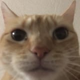 1704479672107894