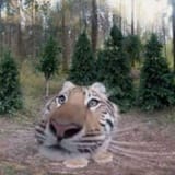 Gweh2wDXEAAPiy2