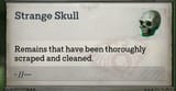 strange skull