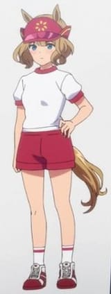 Sunvisor[1]