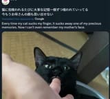 1735239318906