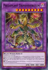 79864860